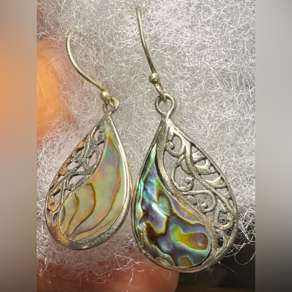 Colorful Abalone Teardrop Shaped Wire Earrings, Woven Pattern Around Edge